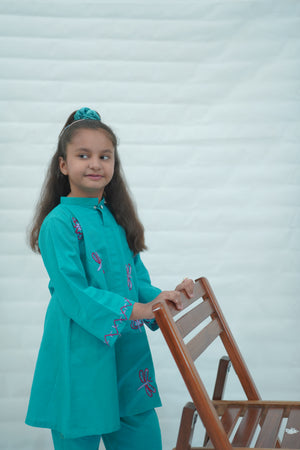 Girls Khaddar Hand Embroided Co-ord Set 2pc - Skyblue